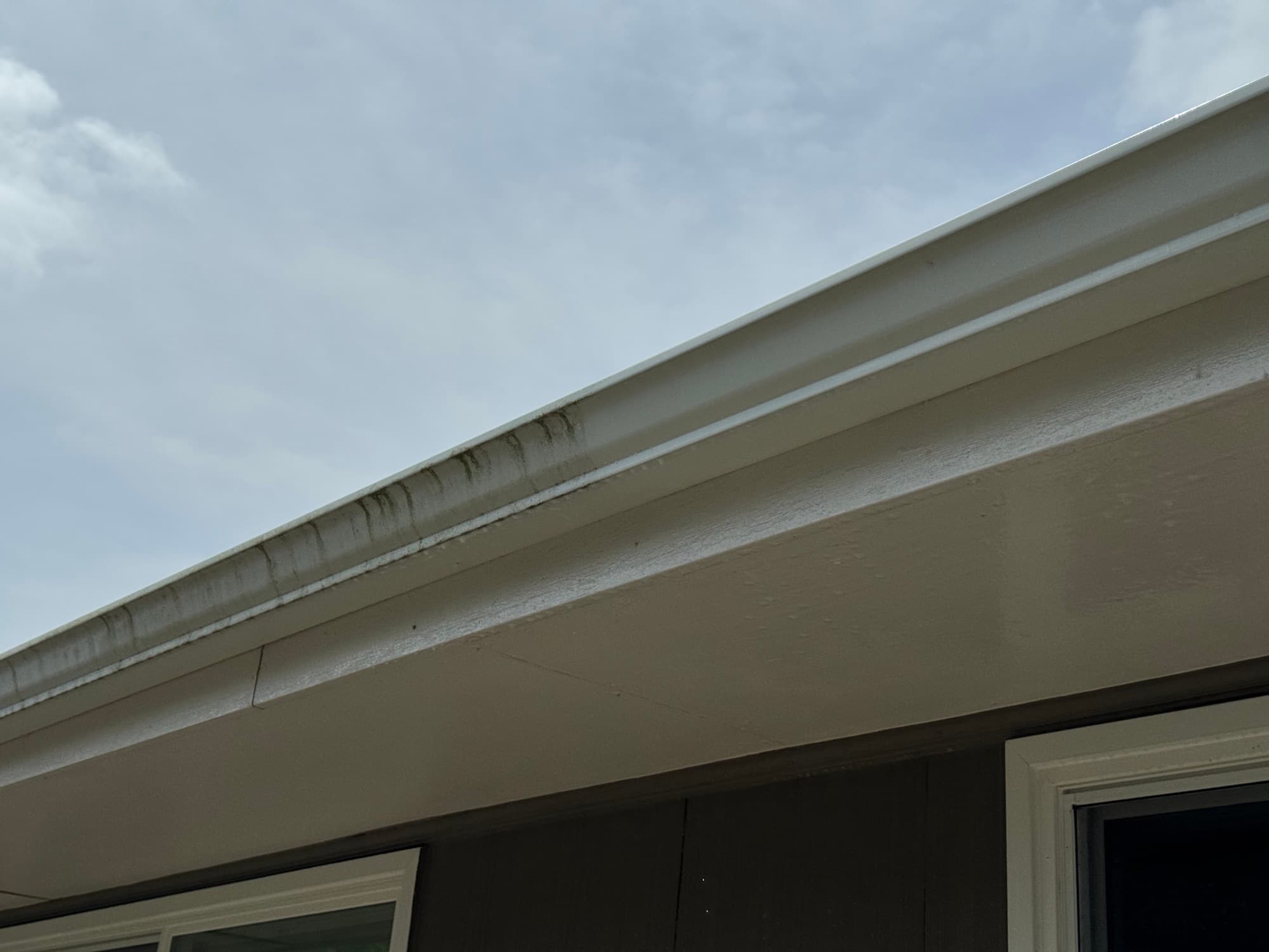 Gutter and fascia line on a Seattle home, cleared of buildup along one section