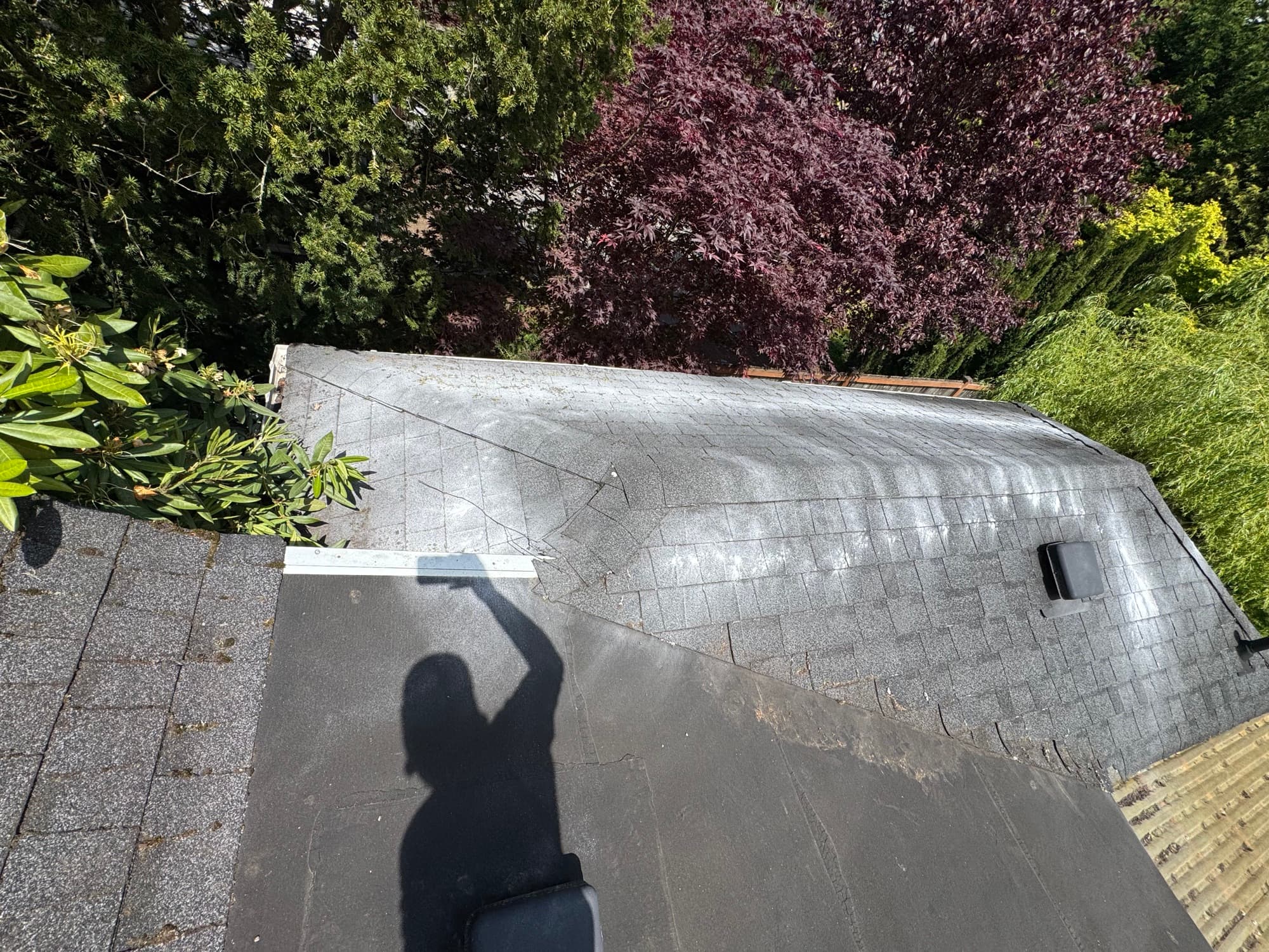 Roof clear of moss after treatment