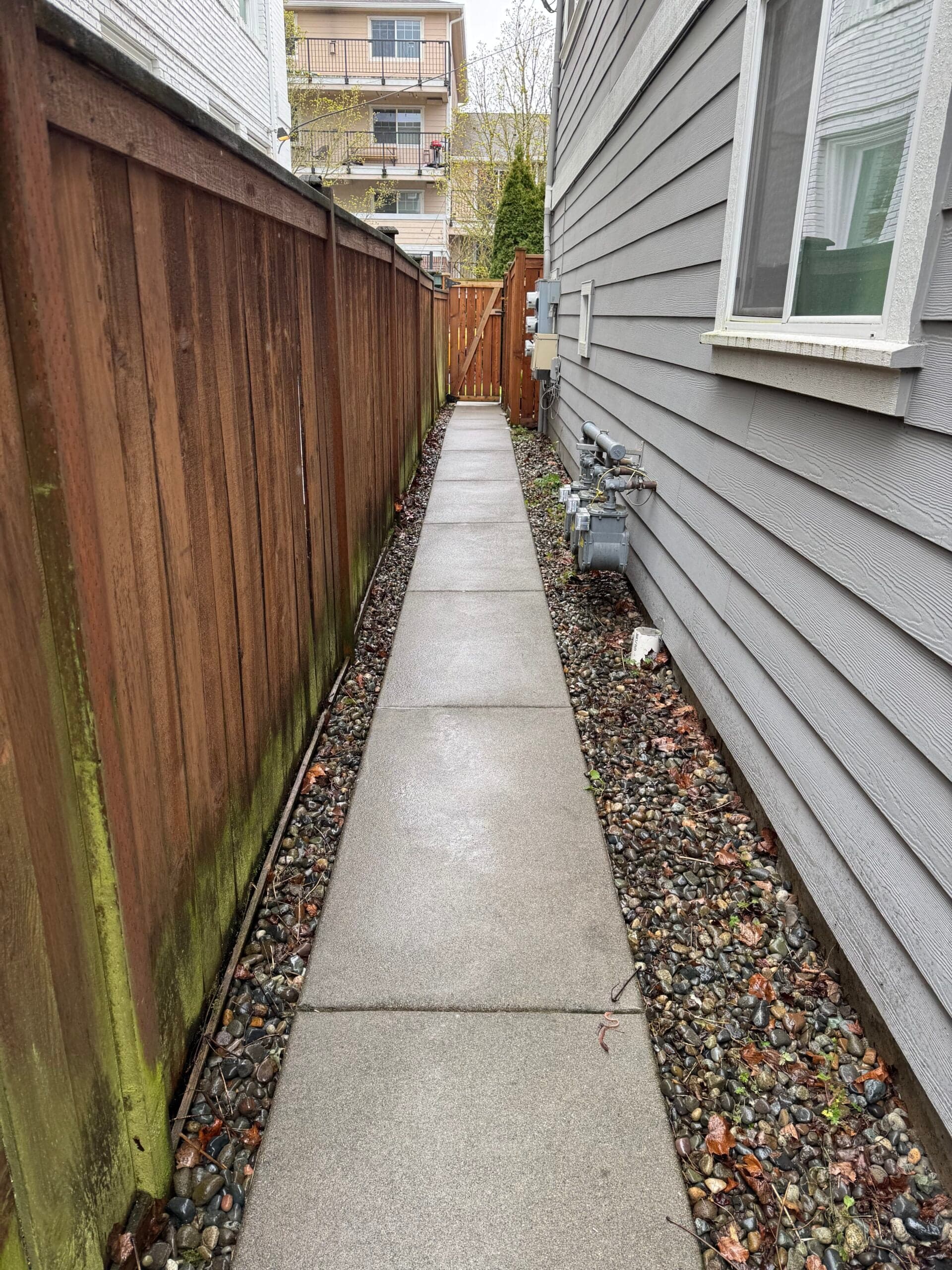 Clean concrete side path between a cedar fence and a gray house